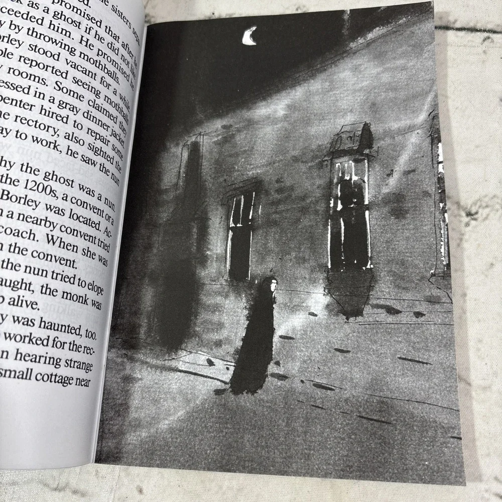 Incredible Histories Haunted Houses Lean Sotnak Scholastic